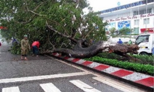 Thủ tướng chỉ đạo chủ động khắc phục hậu quả bão