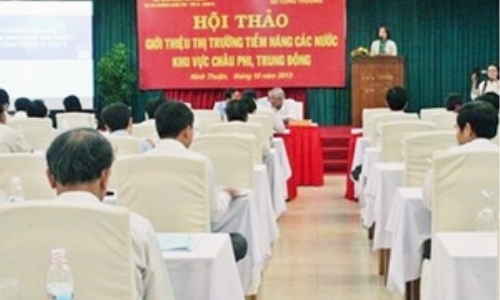 Tìm cơ hội đầu tư vào các nước châu Phi, Trung Đông