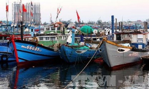 Chủ động đối phó với siêu bão Haiyan