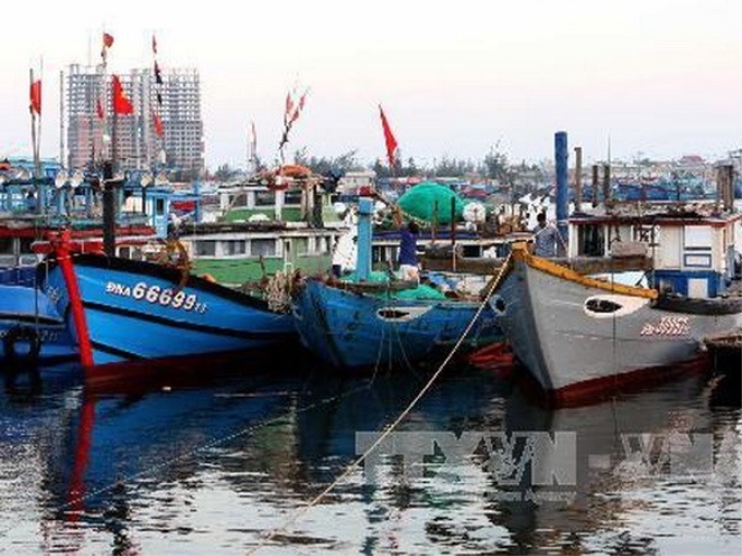 Ngư dân Đà Nẵng cột chằng tàu thuyền để ứng phó với bão số 12. (Ảnh: Trần Lê Lâm/TTXVN)