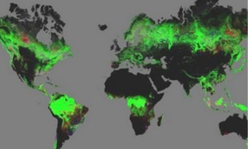 Ra mắt bản đồ thế giới đầu tiên về diện tích rừng Trái Đất