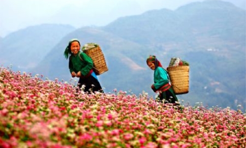 Cao nguyên đá Đồng Văn hút khách du lịch ngày đầu năm mới Quý Tỵ