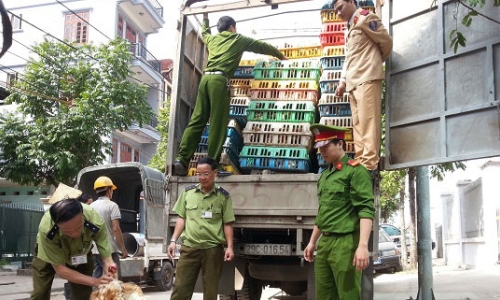 Thủ tướng chỉ đạo quyết liệt ngăn chặn gia cầm nhập lậu