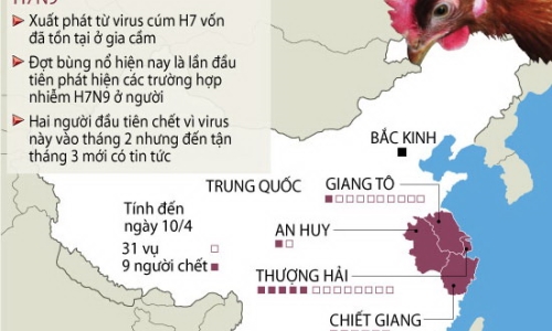 Phát triển bộ dụng cụ xét nghiệm nhanh virus H7N9