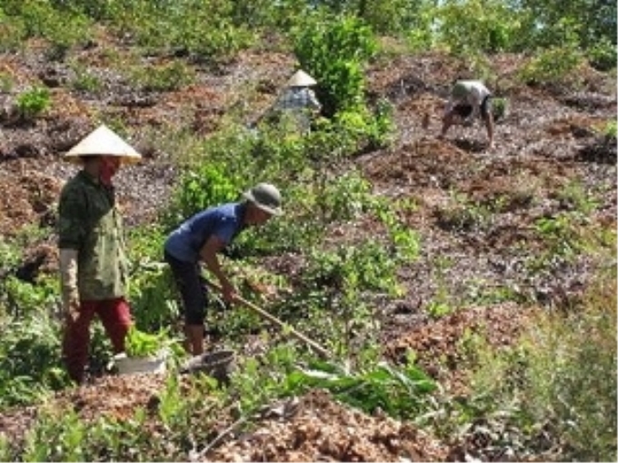 (Ảnh minh họa: TTXVN)