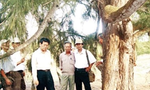 Cây Dương Ông