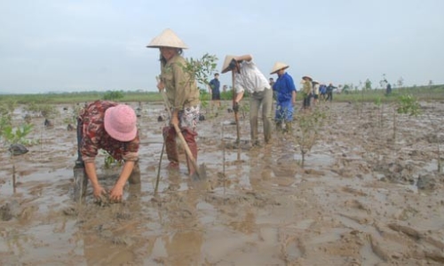 Hà Tĩnh: Đổi mới công tác tuyên truyền, nâng cao ý thức chủ động ứng phó với biến đổi khí hậu