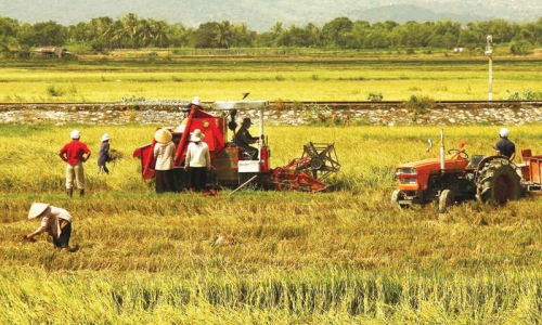 Một số quan điểm của Đảng về CNH, HĐH nông nghiệp, nông thôn