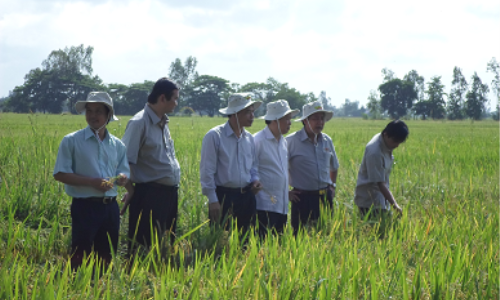 Đẩy mạnh phát triển "Tam nông" khu vực Đồng bằng Sông Cửu Long