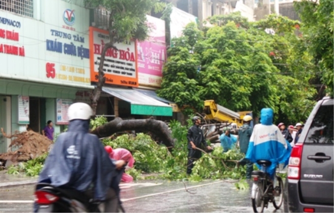 Công ty vệ sinh môi trường đô thị rất vất vả dọn dẹp cây cối gãy đổ sau bão. (Ảnh: Duy Tuyên)