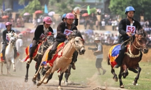 Đưa lễ hội đua ngựa của đồng bào Mông về Hà Nội