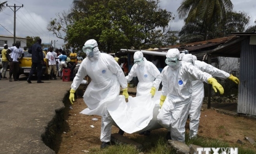 WHO: Số ca nhiễm virus Ebola đã vượt quá 10.000 người