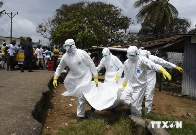 Nhân viên y tế chuyển thi thể nạn nhân của dịch Ebola tại thủ đô Monrovia, Liberia, ngày 4/10. (Nguồn: AFP/TTXVN)