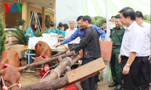 Ưu tiên hỗ trợ người nghèo dù kinh tế còn nhiều khó khăn