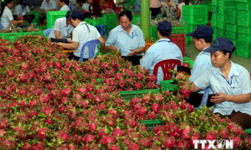 Đưa sản phẩm nông nghiệp Việt Nam vào hệ thống bán lẻ quốc tế