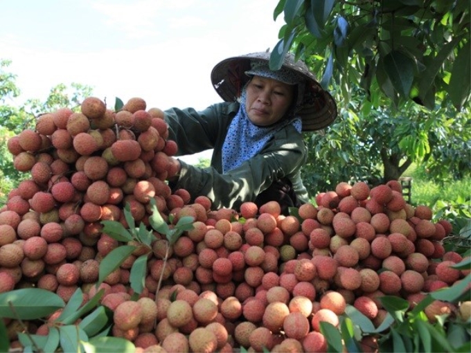 Những năm qua, đồng vốn tín dụng chính sách đã phát huy hiệu quả, giúp hàng triệu người nghèocó cơ hội vươn lên thoát nghèo. (Ảnh minh họa)