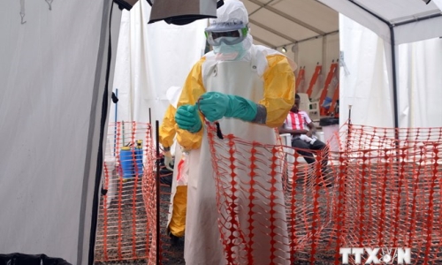 WHO công bố các khuyến cáo an toàn trong điều trị Ebola