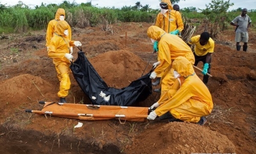 WB cấp thêm 285 triệu USD để đối phó với dịch bệnh Ebola