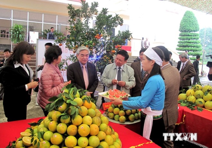 Bộ trưởng Nguyễn Quân (thứ ba, bên trái) và lãnh đạo tỉnh Hòa Bình thăm gian hàng của Nông trường Cao Phong. (Ảnh: Nhan Sinh/TTXVN)