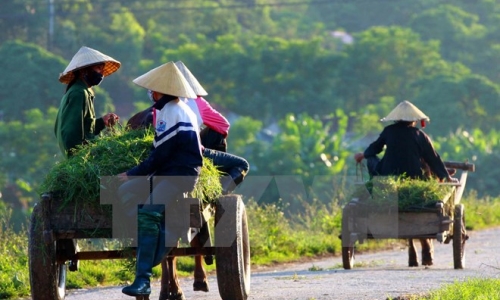 Đồng bào công giáo chung tay xây dựng nông thôn mới