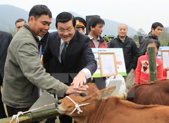 Chủ tịch nước Trương Tấn Sang với các hộ nghèo được tặng bò giống. (Ảnh: Nguyễn Khang/TTXVN)