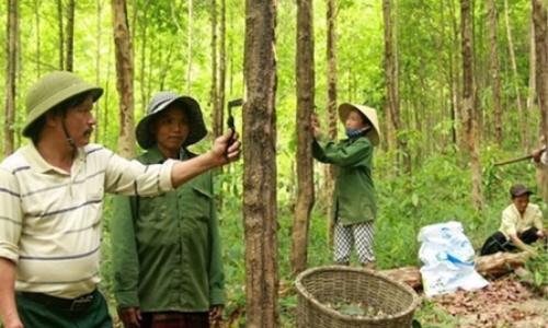 Quảng Trị: Biểu dương điển hình tiên tiến học tập và làm theo tấm gương đạo đức Hồ Chí Minh