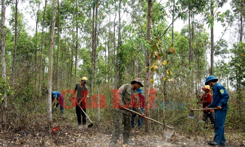 Tiếp tục thúc đẩy việc thu nộp tiền dịch vụ môi trường rừng