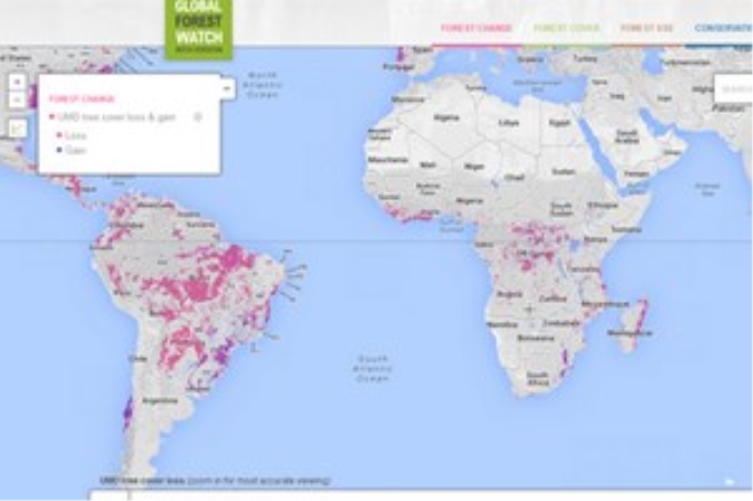 Dữ liệu về các diện tích rừng bị phá trên trang globalforestwatch.org.