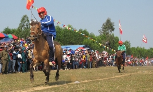 Tưng bừng ngày hội đua ngựa Gò Thì Thùng