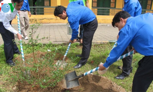 Cả nước ra quân trồng cây nhớ ơn Bác Hồ