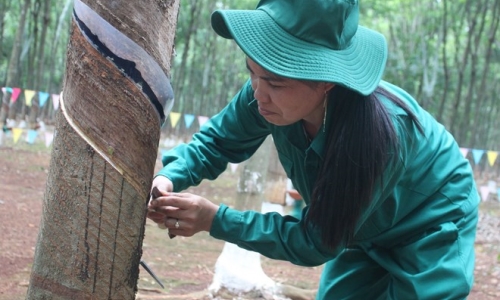 Việt Nam trở thành nước sản xuất cao su thứ ba thế giới