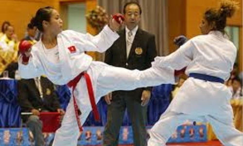 Việt Nam đăng cai giải Karatedo Đông Nam Á lần 3