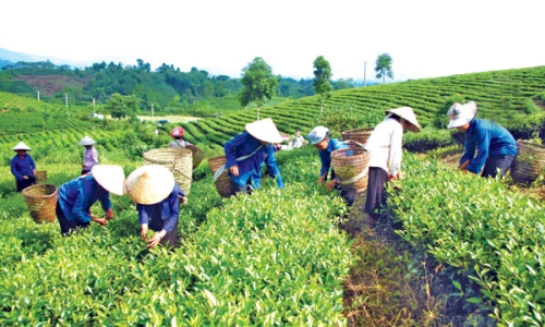 Thảo luận kết quả giám sát việc thực hiện chính sách, pháp luật về giảm nghèo giai đoạn 2005-2012