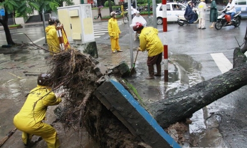 Nhiều cây đổ, cửa kính bị vỡ khi bão số 2 vào Quảng Ninh