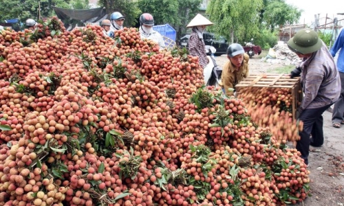 Tin vải Trung Quốc 'tràn ngập' Lạng Sơn là sai sự thật