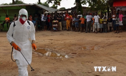 Liên hợp quốc cử chuyên gia tới vùng Tây Phi dập dịch Ebola