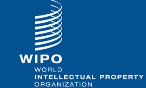 Việt Nam tham dự phiên họp Đại Hội đồng WIPO lần thứ 54