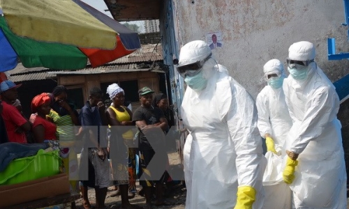 Liên hợp quốc tuyên bố Mali đã thoát khỏi dịch Ebola