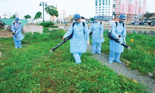 Ninh Thuận tăng cường phòng, chống bệnh sốt xuất huyết