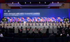 Hội nghị cấp cao Diễn đàn Hợp tác Kinh tế châu Á-Thái Bình Dương lần thứ 23 (APEC 23)