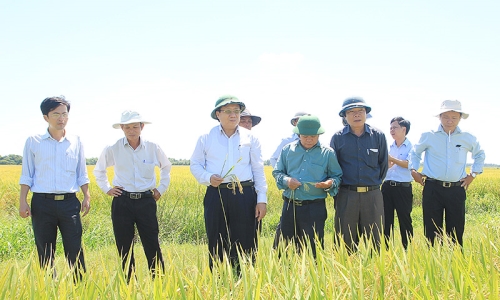 Quảng Trị huy động các nguồn lực đẩy mạnh phát triển nông nghiệp, xây dựng nông thôn mới