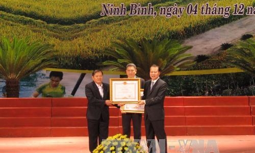 Phó Thủ tướng Vũ Văn Ninh: Xây dựng nông thôn mới là chương trình phát triển kinh tế - xã hội tổng hợp, toàn diện