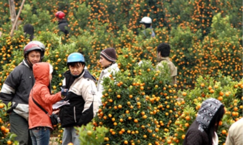 Đảm bảo an ninh trật tự, an toàn giao thông phục vụ nhân dân vui Xuân, đón Tết