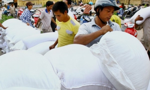 Quảng Bình khẩn trương phân bổ hơn 1.200 tấn gạo hỗ trợ cứu đói