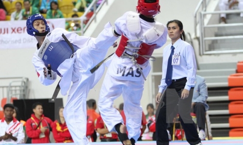 Khai mạc Giải vô địch và trẻ Taekwondo Đông Nam Á lần thứ 12