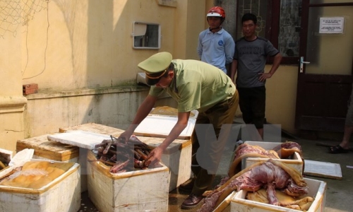 Thanh Hóa bắt giữ xe tải chở 650kg thịt lợn bốc mùi hôi thối