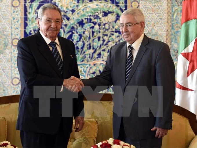 Tổng thống Algeria Abdelkader Bensalah (phải) đã có cuộc hội đàm với Chủ tịch Cuba Raul Castro (trái) đang trong chuyến thăm Algeria. (Nguồn: AFP/TTXVN)