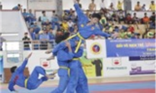 Giải vô địch trẻ vovinam toàn quốc lần XIII năm 2015: TP.HCM vô địch