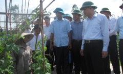 Phó Thủ tướng Vũ Văn Ninh kiểm tra nông thôn mới