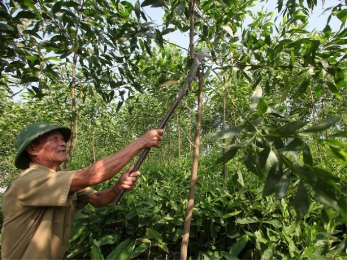 Ảnh minh họa. (Nguồn: TTXVN)